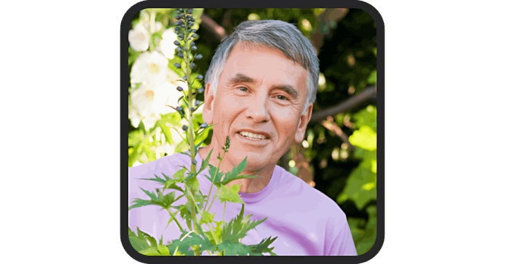 Alex M. ProDentim Review - Dallas USA